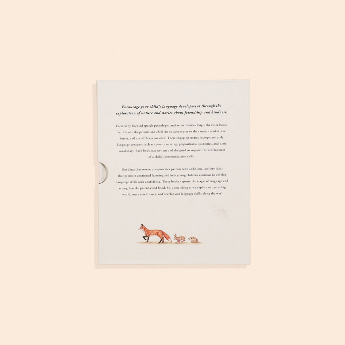NR PAIGE TATE | OUR LITTLE ADVENTURES BOARD BOOK BOX SET