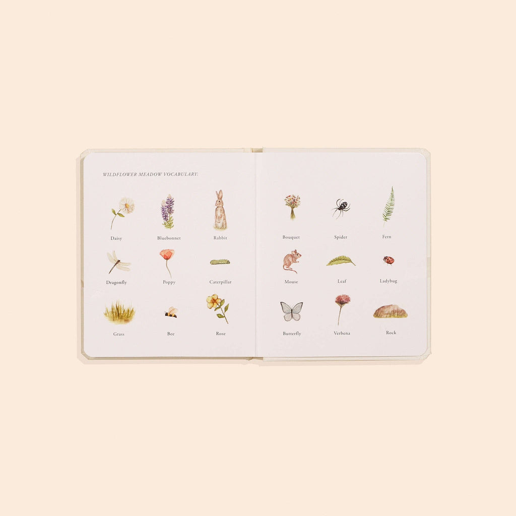 NR PAIGE TATE | OUR LITTLE ADVENTURES BOARD BOOK BOX SET