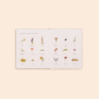 NR PAIGE TATE | OUR LITTLE ADVENTURES BOARD BOOK BOX SET
