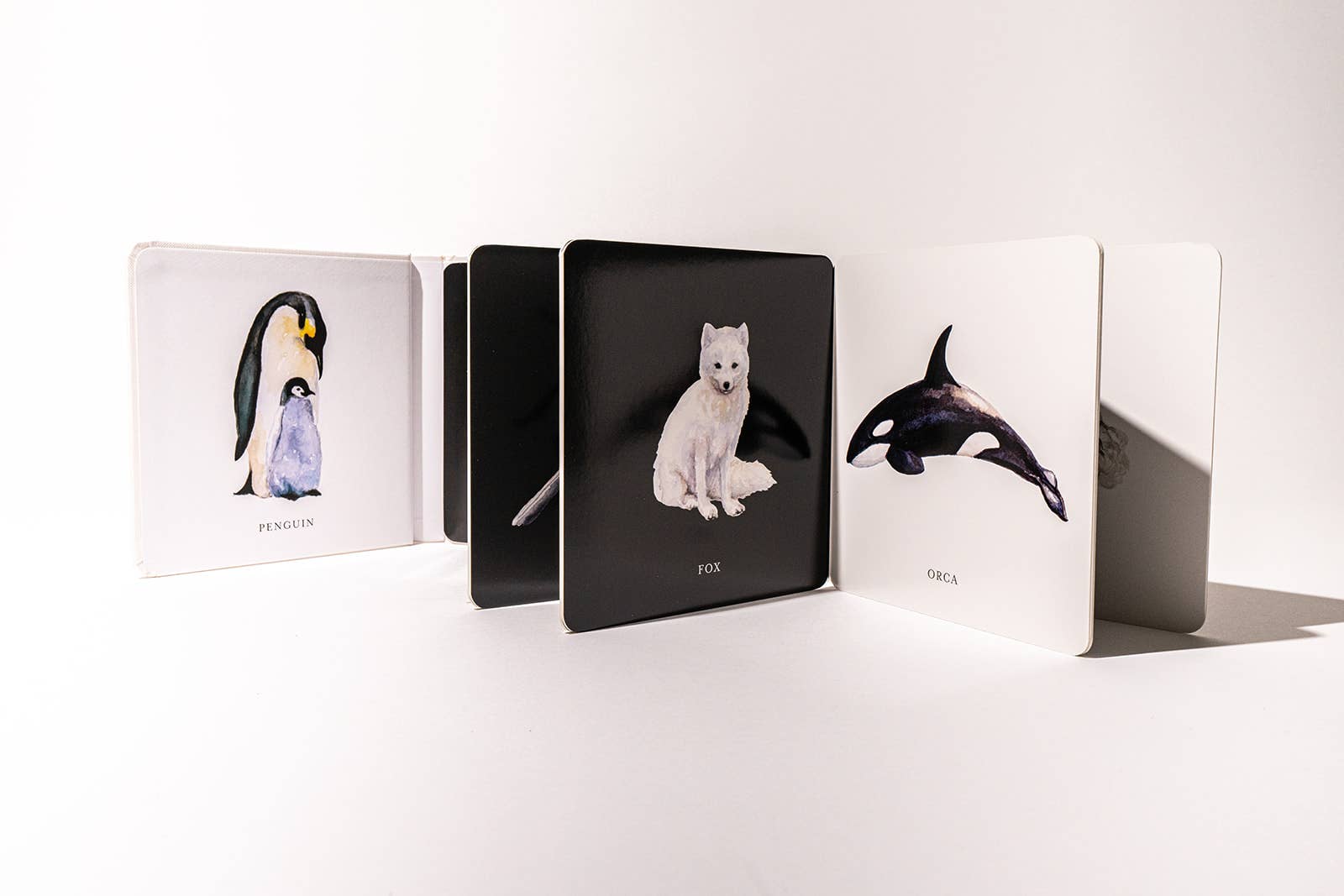 NR BLACK AND WHITE CONTRAST BOOK